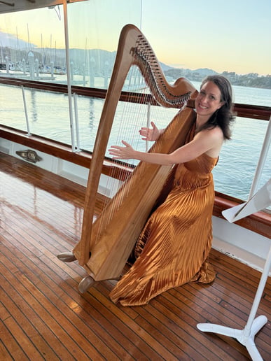 Gallery photo 6 of AureliHarp