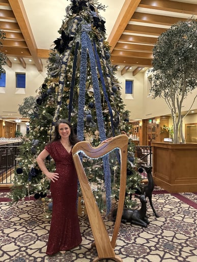 Gallery photo 8 of AureliHarp