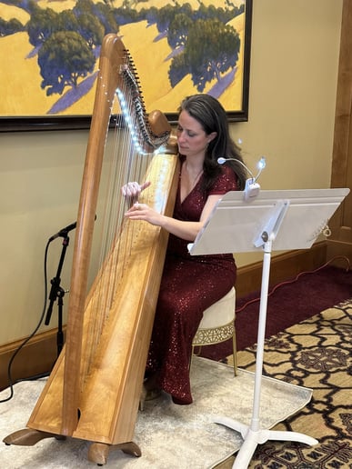 Gallery photo 9 of AureliHarp