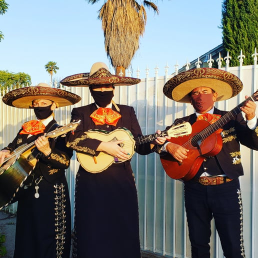 Gallery photo 14 of Aurelio Reyes "El Gallo de Chiapas" y su Mariachi
