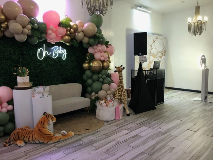 Gallery photo 2 of Aurora Entertainment