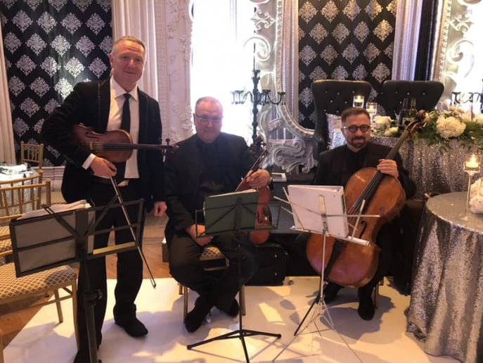Gallery photo 8 of Aurora Quartet