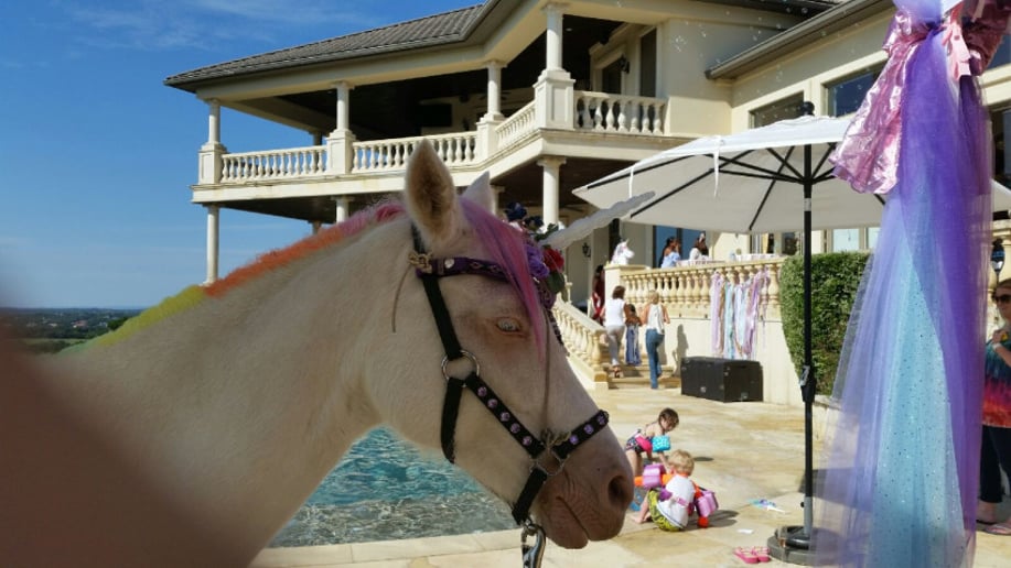 Gallery photo 2 of Austin Pony Express