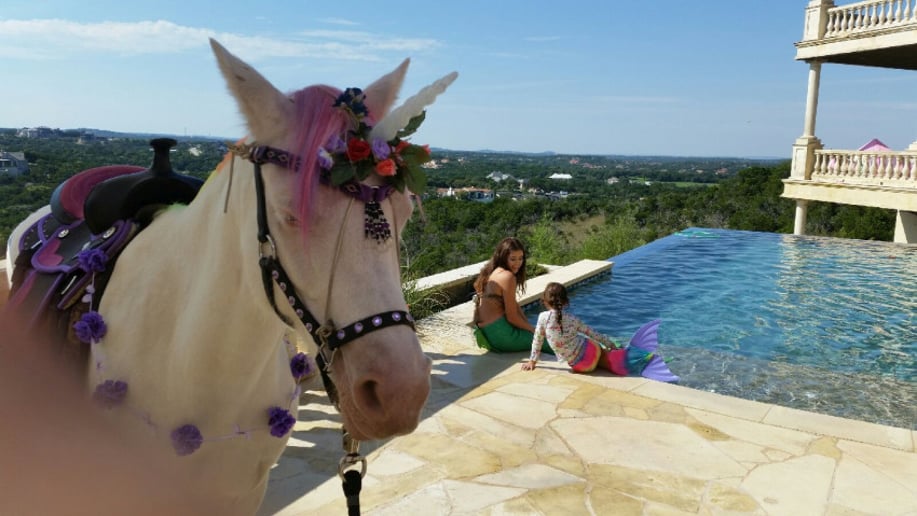 Gallery photo 3 of Austin Pony Express