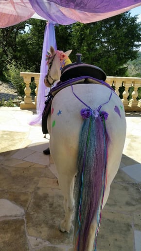 Gallery photo 4 of Austin Pony Express