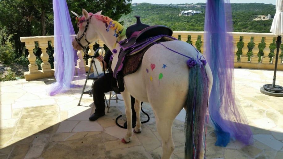 Gallery photo 5 of Austin Pony Express