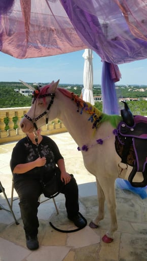 Gallery photo 8 of Austin Pony Express