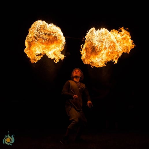 Gallery photo 1 of Austin Riggs Fire Performance