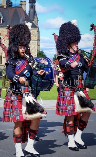Gallery photo 3 of Australian Piper