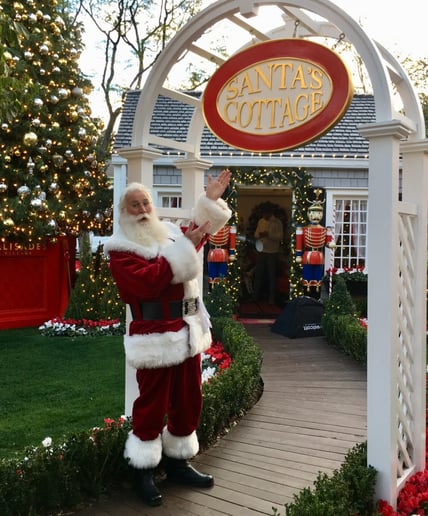 Gallery photo 9 of Red Sled Santa Cortney