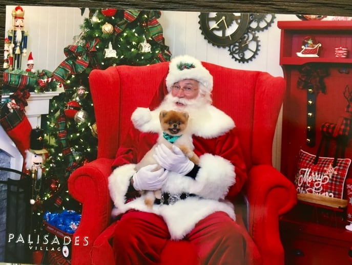 Gallery photo 10 of Red Sled Santa Cortney