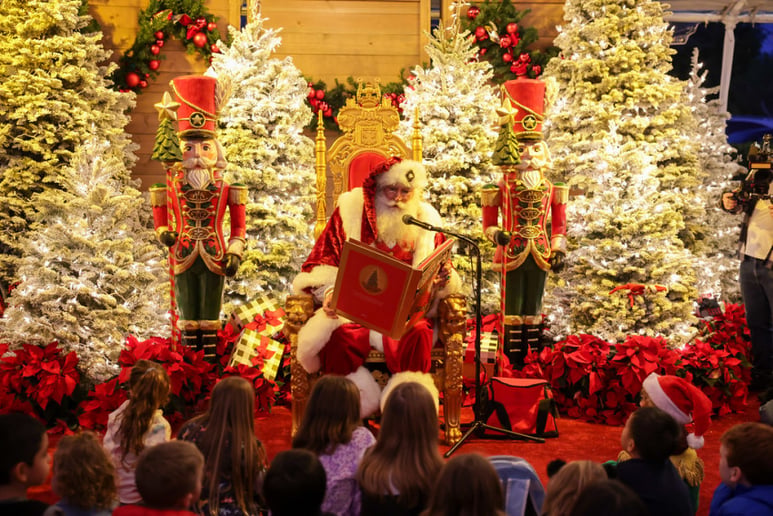 Gallery photo 14 of Red Sled Santa Cortney