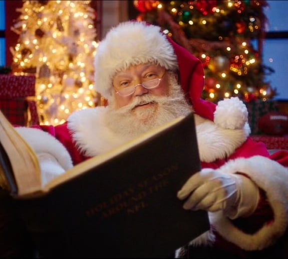Gallery photo 7 of Authentic Real Beard Santa Mark