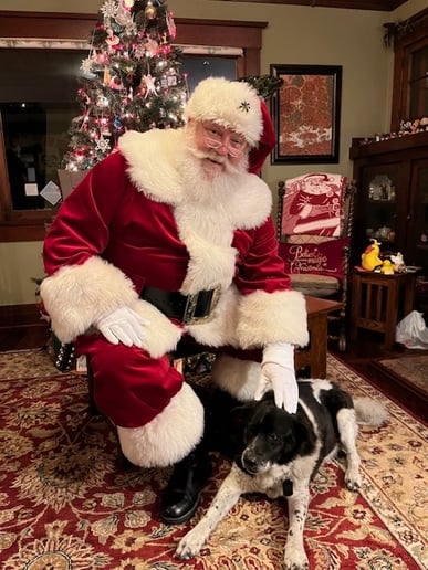Gallery photo 8 of Authentic Real Beard Santa Mark