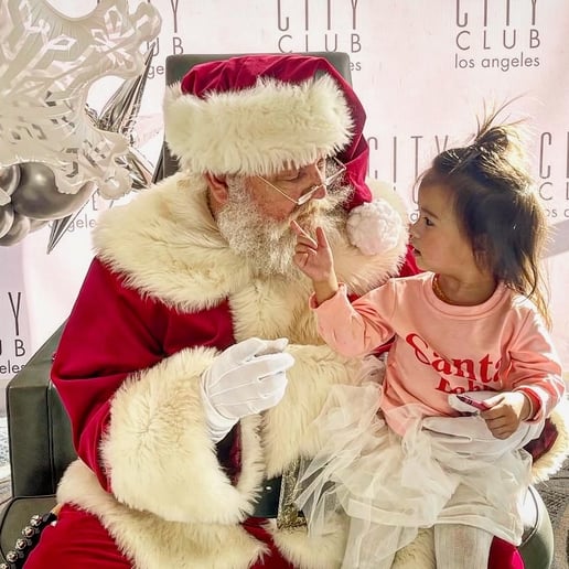 Gallery photo 10 of Authentic Real Beard Santa Mark