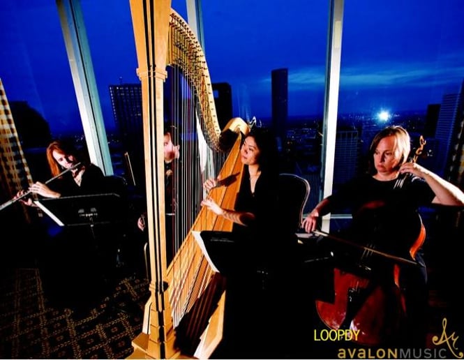 Gallery photo 3 of Avalon Music