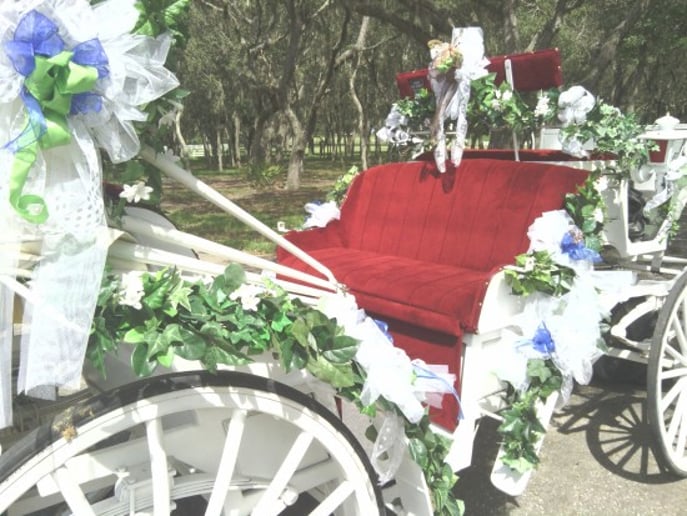 Gallery photo 3 of Avalon West Carriage Service