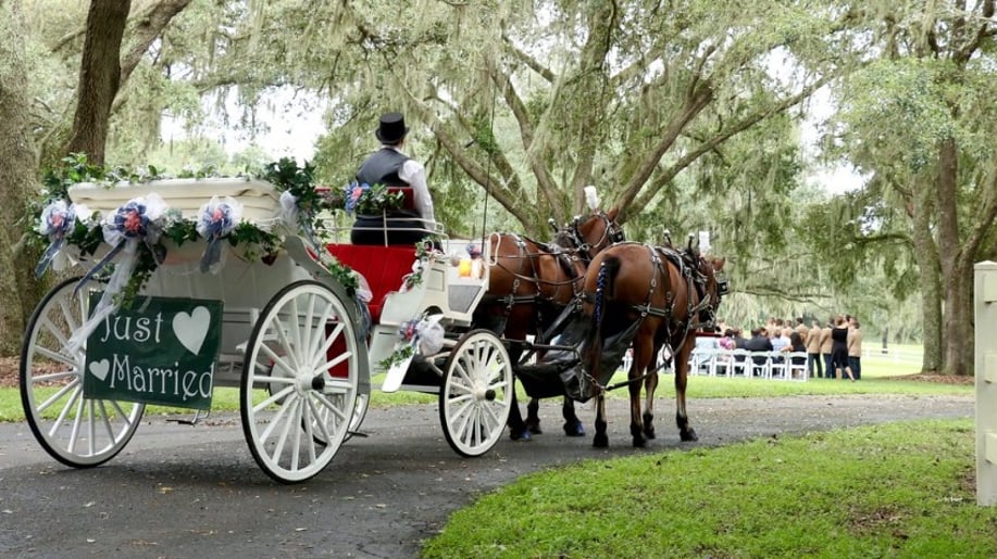 Gallery photo 4 of Avalon West Carriage Service