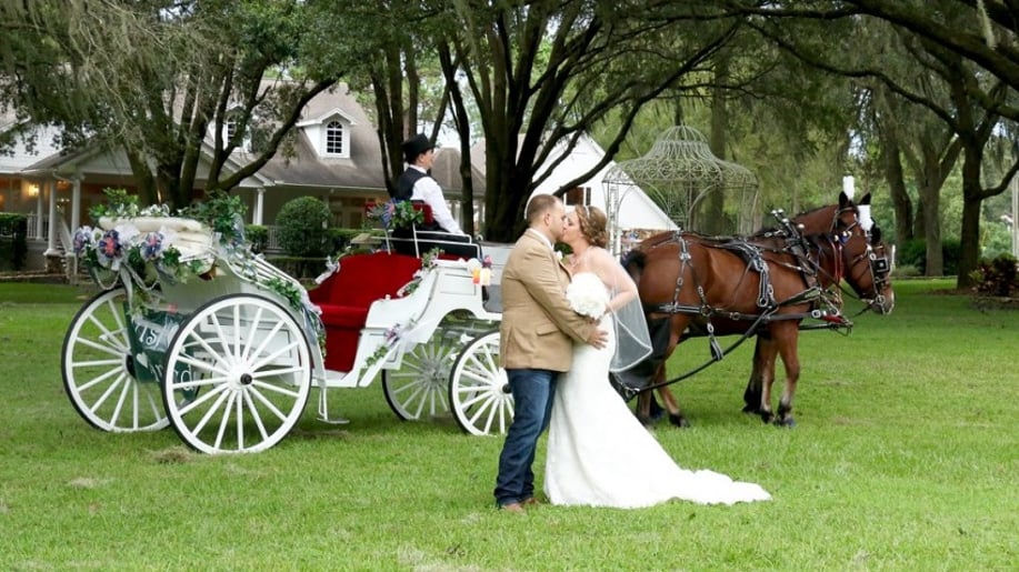 Gallery photo 6 of Avalon West Carriage Service