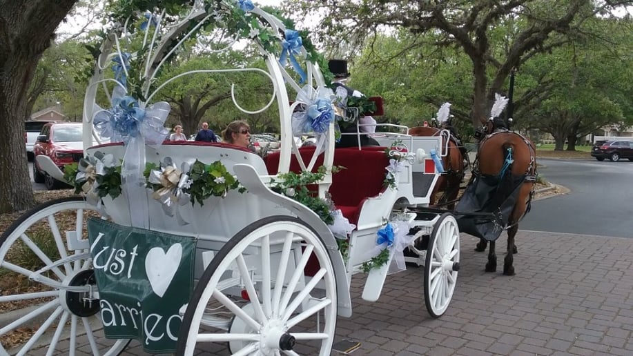 Gallery photo 8 of Avalon West Carriage Service