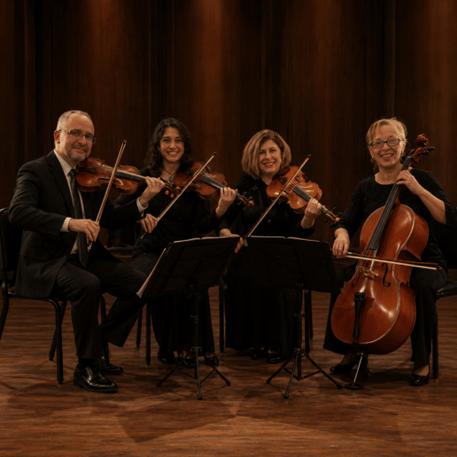 Gallery photo 1 of Avanti Strings