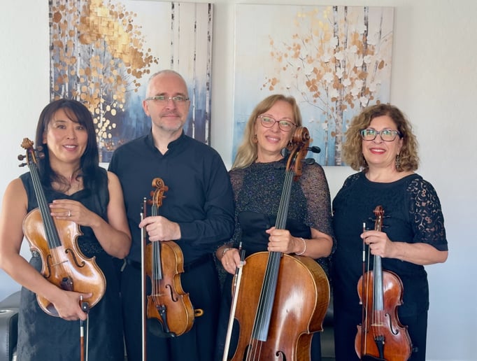 Gallery photo 1 of Avanti Strings
