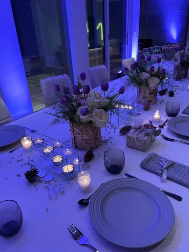 Gallery photo 6 of Miller Event Lighting