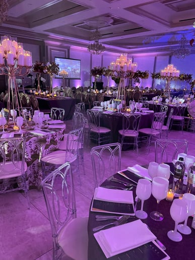 Gallery photo 10 of Miller Event Lighting