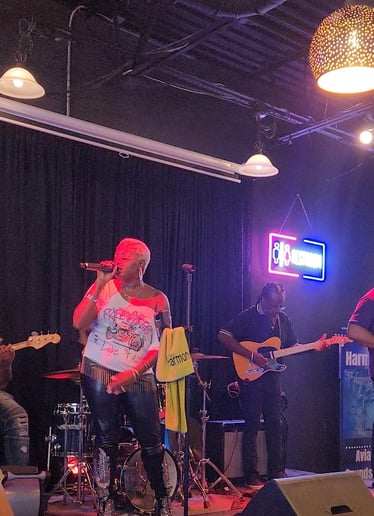 Gallery photo 5 of Harmony_V & Aviated Sounds Band