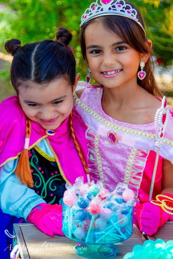 Gallery photo 2 of AZ Magical Moments Princess Party