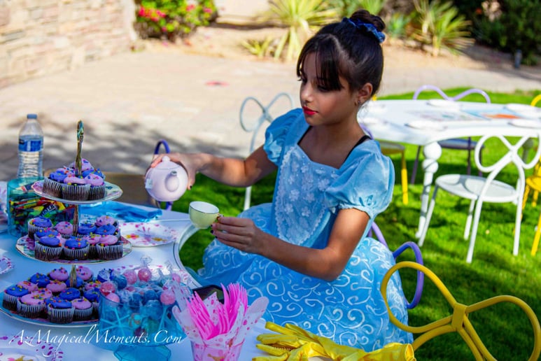 Gallery photo 5 of AZ Magical Moments Princess Party