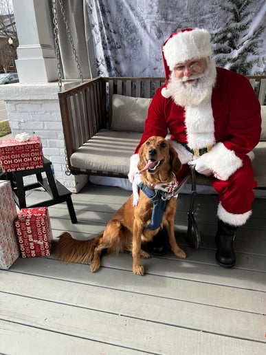 Gallery photo 7 of B4 Santa