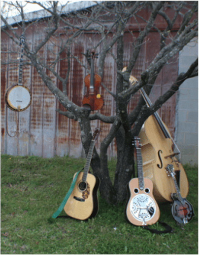 Gallery photo 1 of Backwoods Revival