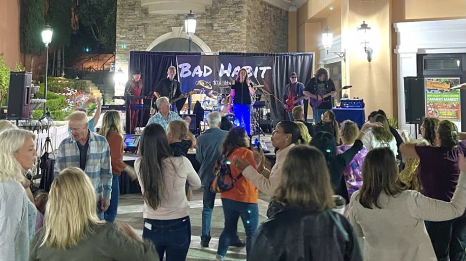 Gallery photo 7 of Bad Habit band