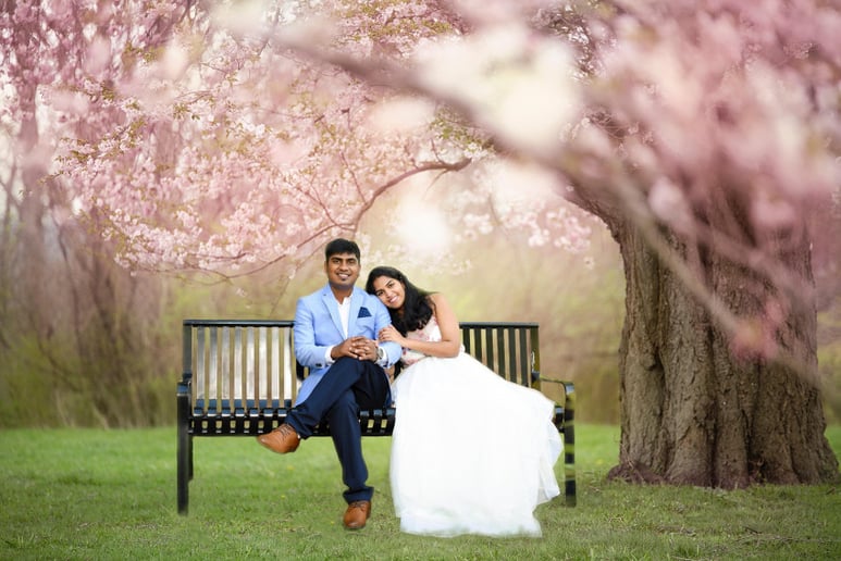 Gallery photo 6 of Balaji Manda Entertainment
