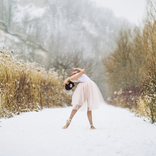 Gallery photo 11 of Ballet Reveries