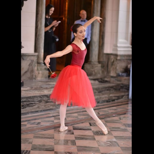 Gallery photo 8 of Ballet Reveries