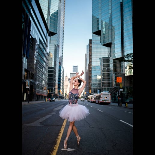 Gallery photo 9 of Ballet Reveries