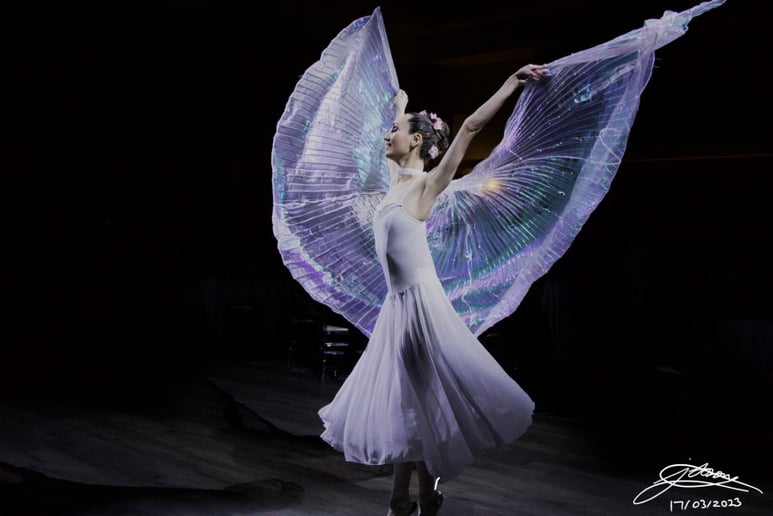Gallery photo 2 of Ballet Reveries