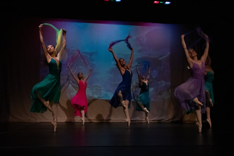 Gallery photo 16 of Ballet Reveries