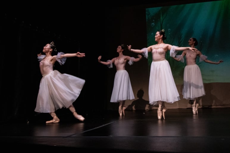 Gallery photo 19 of Ballet Reveries