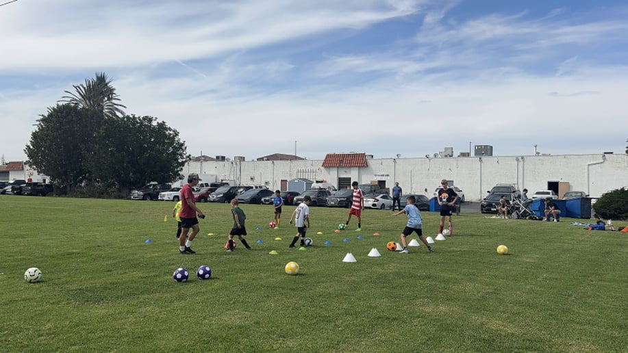 Gallery photo 3 of BallMasters Soccer Parties!