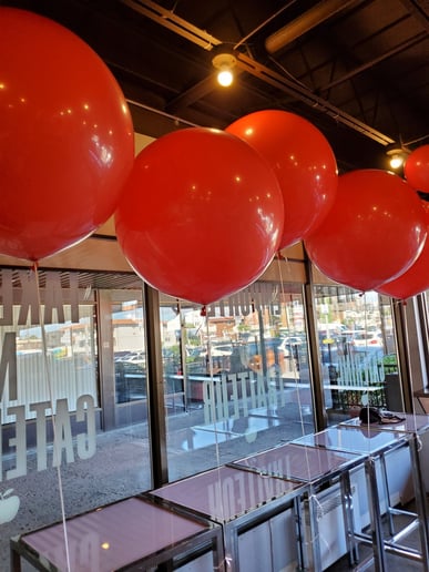 Gallery photo 7 of Ballon Multifestif Montréal