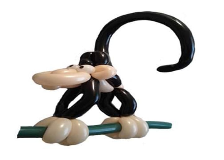 Gallery photo 4 of Balloon Animals and Characters