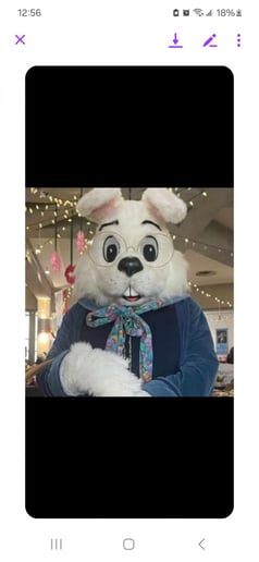 Gallery photo 10 of Balloon Animals + Face Painting