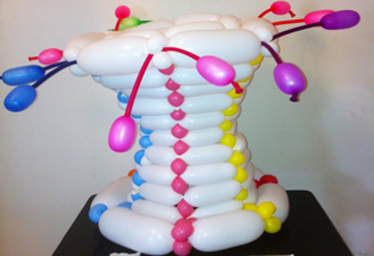 Gallery photo 28 of Balloon Art Design