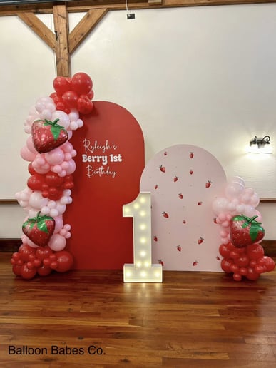Gallery photo 4 of Balloon Babes Co