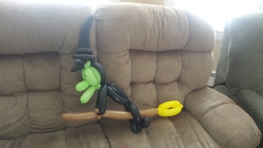 Gallery photo 8 of Balloon Ben