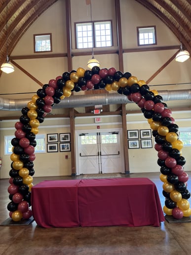 Gallery photo 1 of Winston Salem Balloon Company