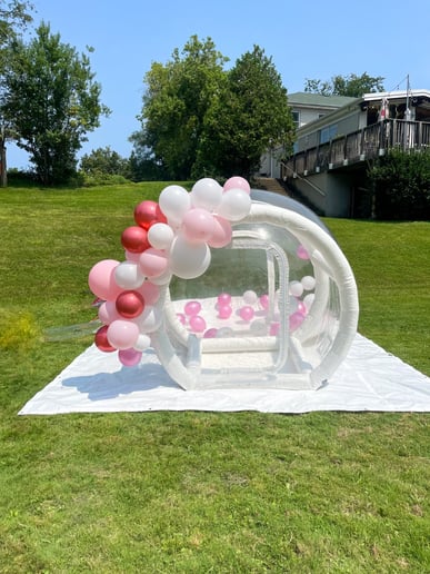 Gallery photo 3 of Balloon Dome